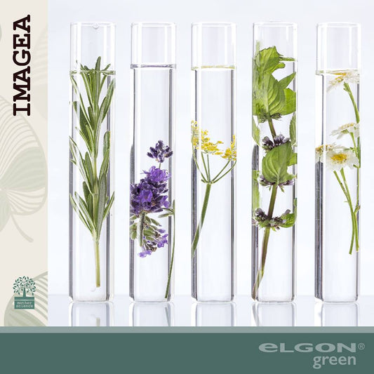 Imagea: per i capelli la natura al servizio della qualità