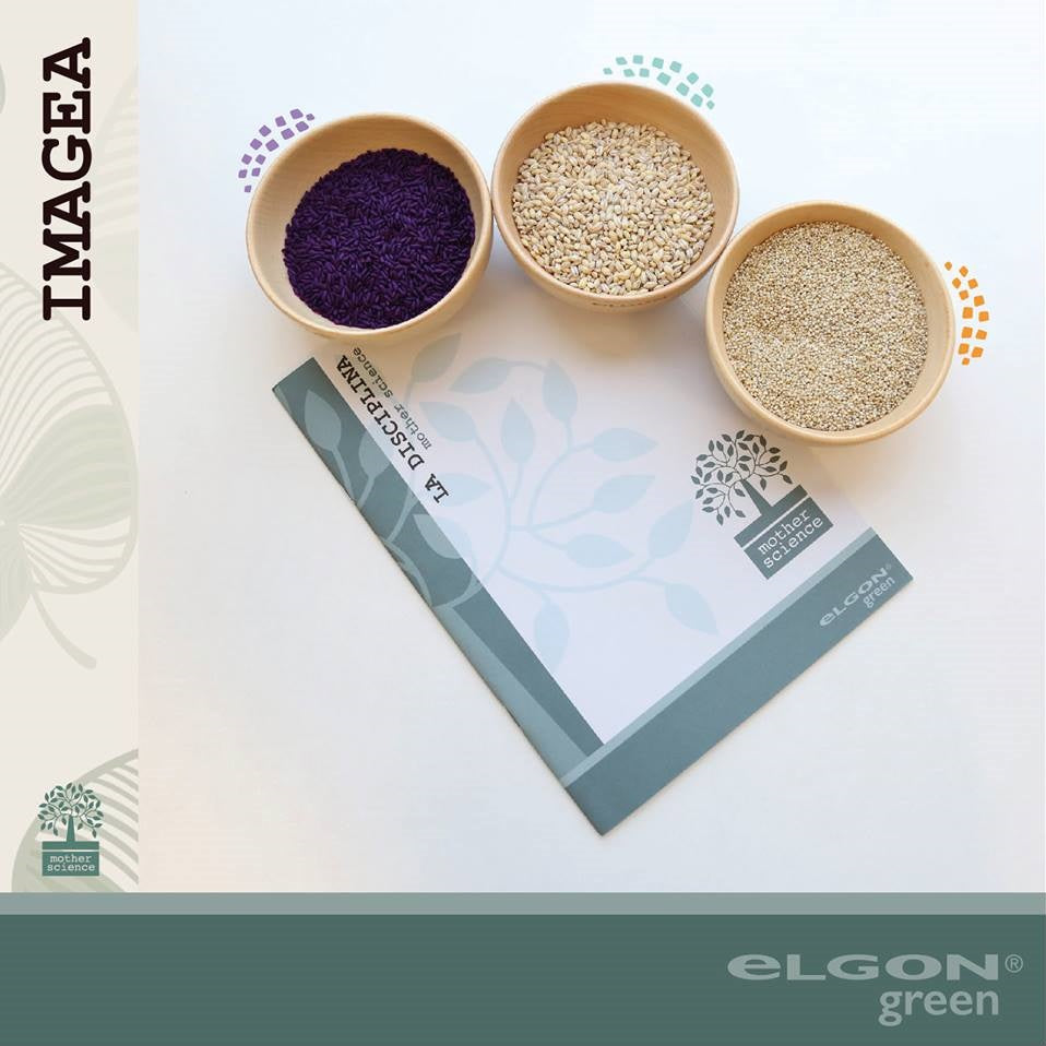 Mother Science: la filosofia Green di Elgon