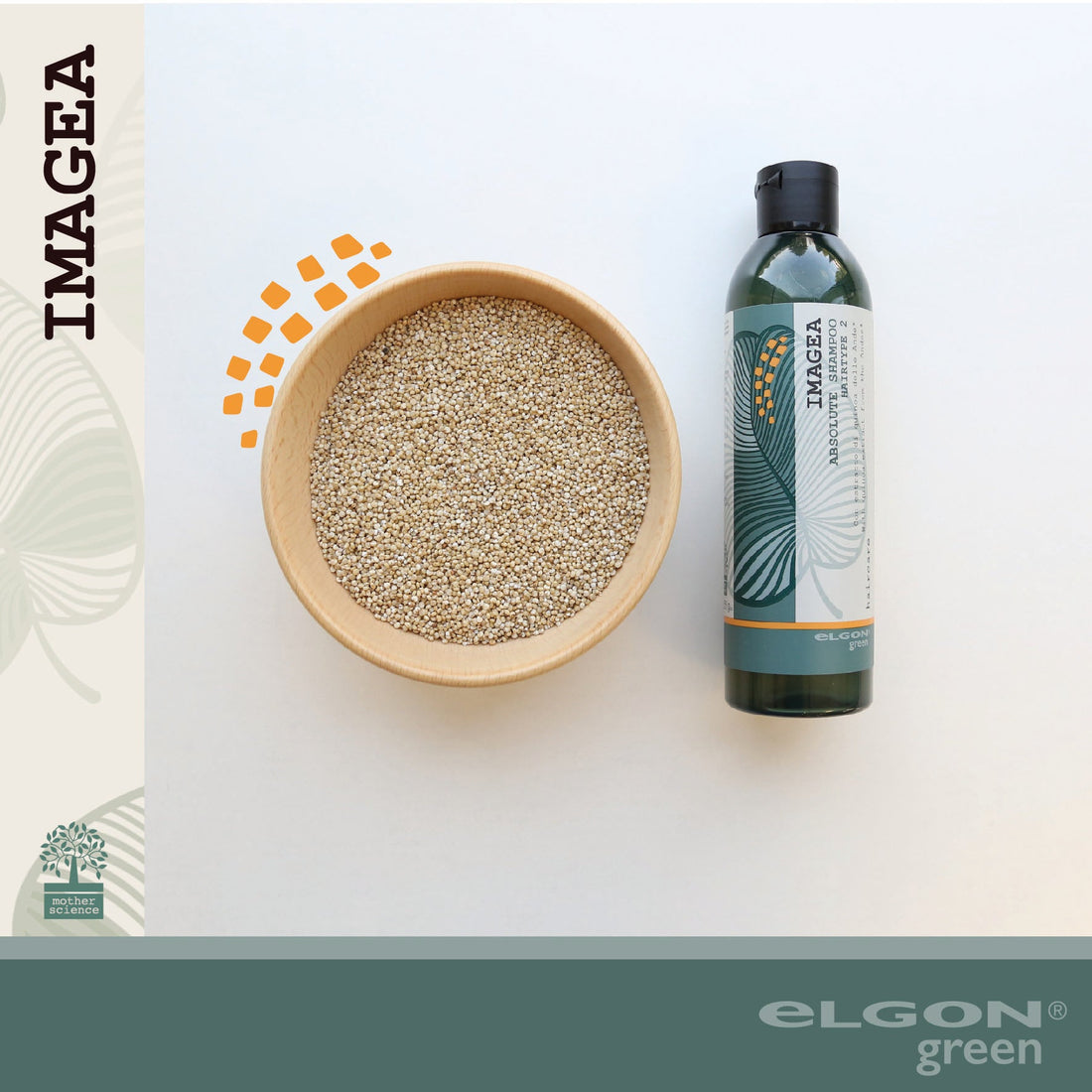 OGNI INGREDIENTE HA IL SUO SEGRETO: LA QUINOA