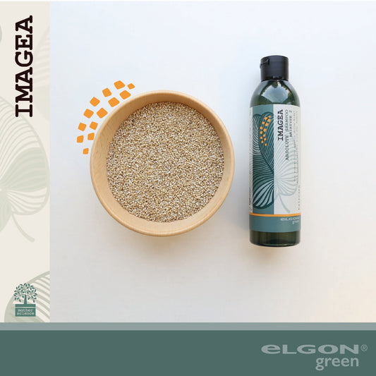OGNI INGREDIENTE HA IL SUO SEGRETO: LA QUINOA