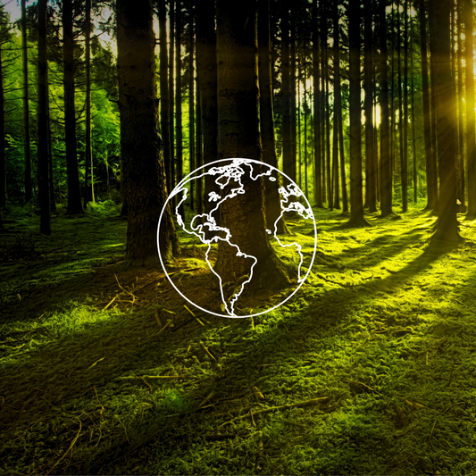 Earth Day - i nostri compromessi ecologici