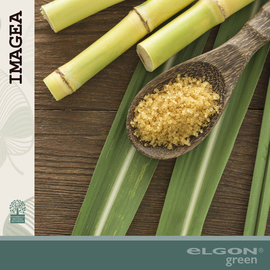 La sostenibilità del packaging: la scelta di Elgon