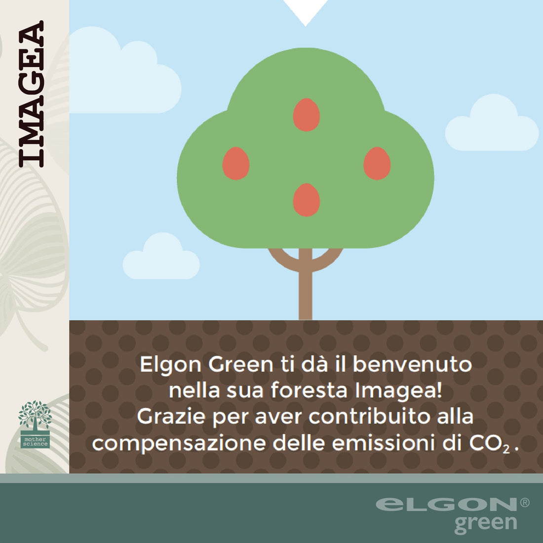 Pianta il tuo albero nella foresta Imagea di Elgon Green!