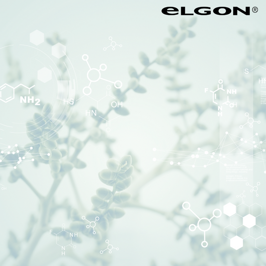 I capelli si tingono di “green” e di biotech!
