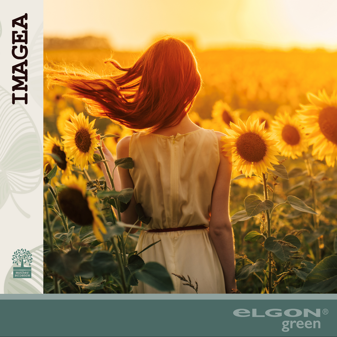 Imagea: con la linea Haircare più bellezza e benessere per i capelli